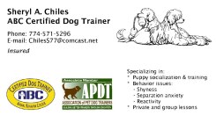 Sheryl Chiles, Dog Trainer, 774-571-5296